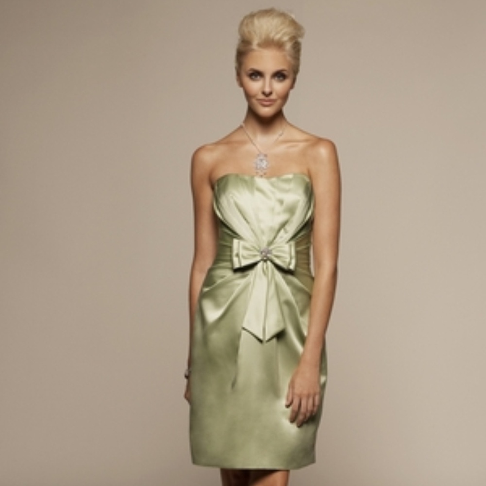 Liz Fields Bridesmaid Dress 357 Tea Green Size 10